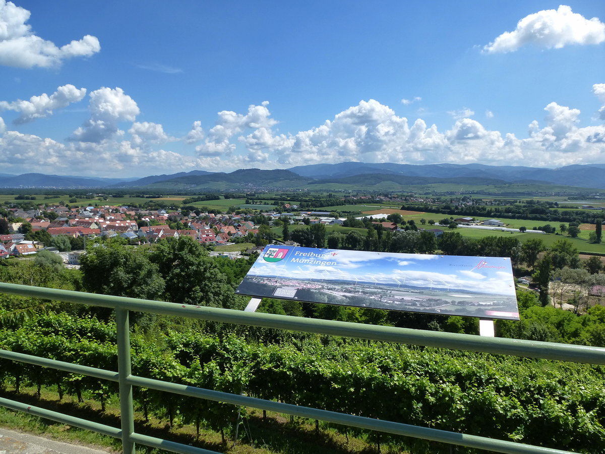 Blick von der Aussichtsterrasse am sdlichen Tuniberg zum Schwarzwald, im Vordergrund der Weinort Munzingen, Aug.2016