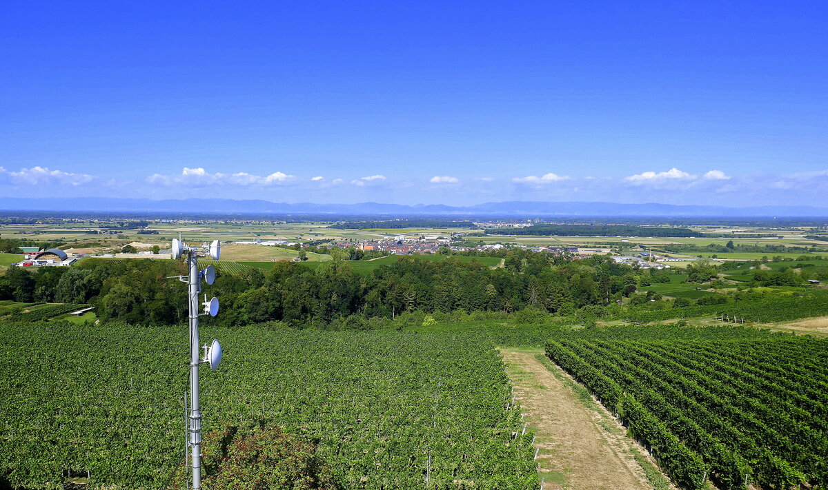 Blick vom Aussichtsturm auf dem 228m hohen Heuberg bei Ettenheim/Ortenau nach Westen über die Rheinebene zu den Vogesen, Aug.2022