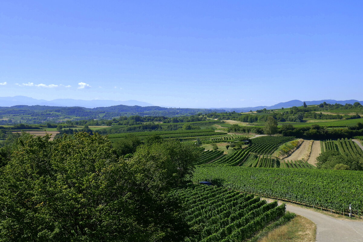 Blick vom Aussichtsturm auf dem 228m hohen Heuberg nach Süden über die Vorbergzone des Schwarzwaldes, am Horizont links der Schwarzwald und rechts der Kaiserstuhl, Aug.2022