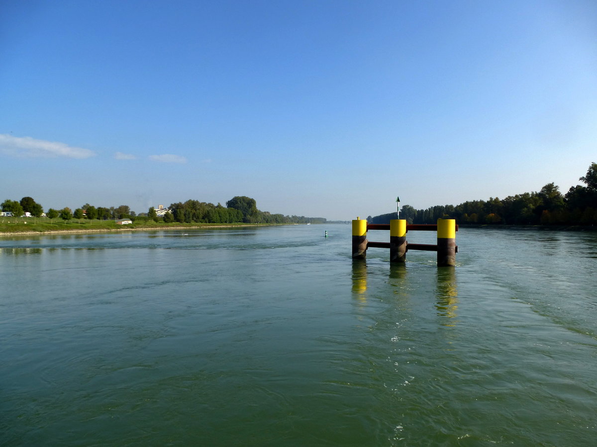 Blick von der Autofähre in Plittersdorf rheinabwärts, Sept.2017