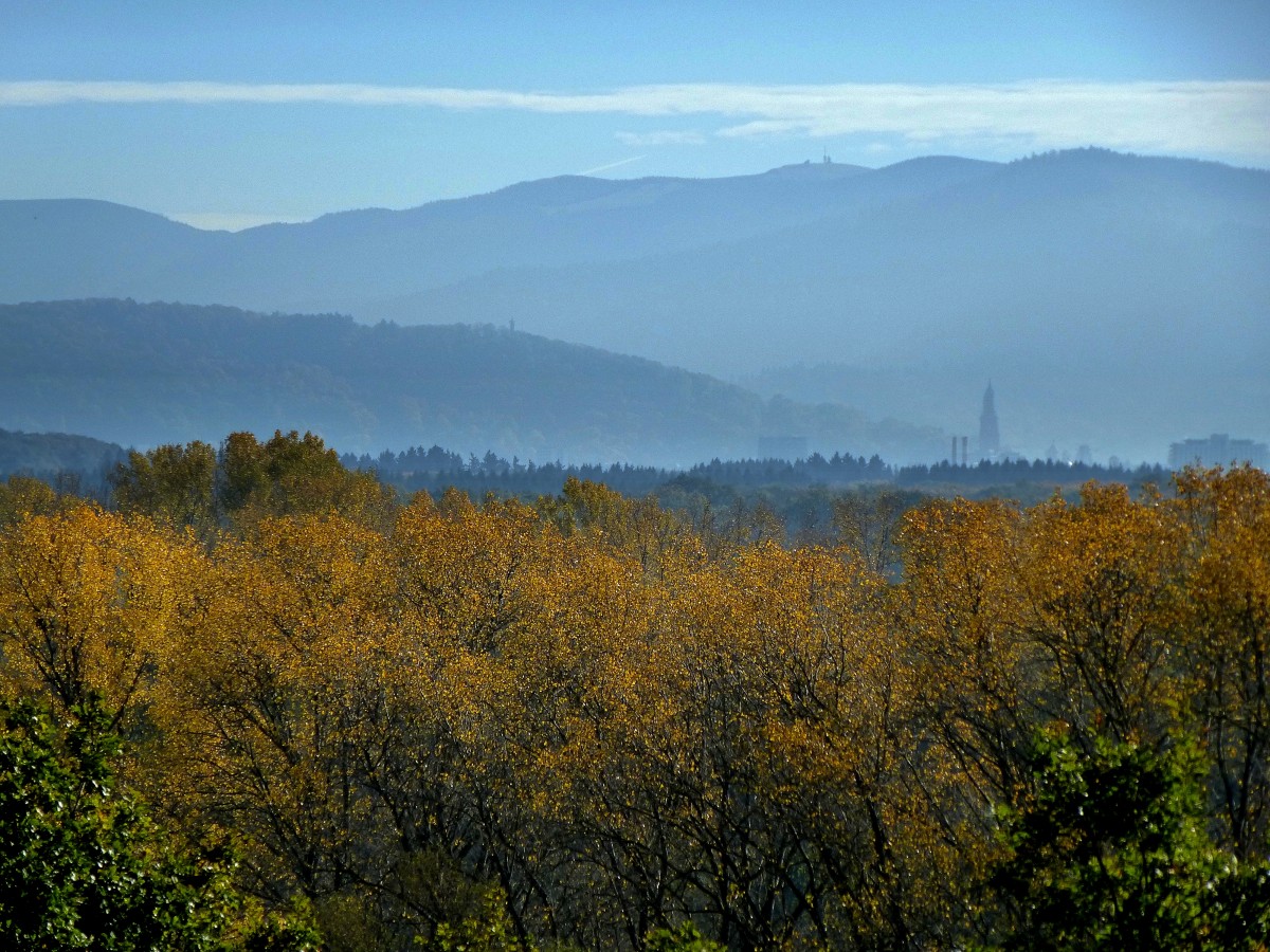 Blick bei herbstlichem Frhnebel vom Aussichtspunkt  Belvedere  im Schlopark von Hugstetten zum Schwarzwald, recht gut zu erkennen das Freiburger Mnster und die Trme auf dem 1492m hohen Feldberg, Okt.2014