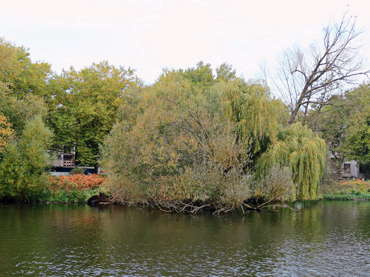 Blick bei einer Rundfahrt auf der Außenalster in Richtung Alsterpark in Hamburg am 24. Oktober 2016.