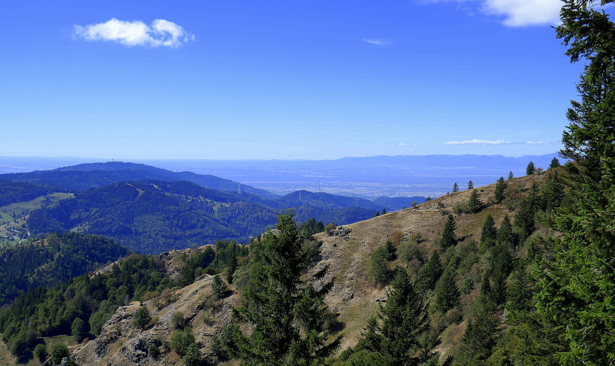 Blick vom Belchen im S�dschwarzwald zum 1165m hohen Hochblauen links, am Horizont die Vogesen, Sept.2026