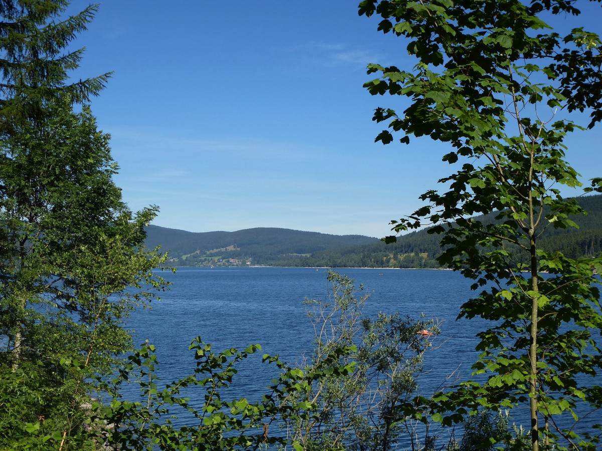 Blick ber den Schluchsee in nrdlicher Richtung, Juli 2014