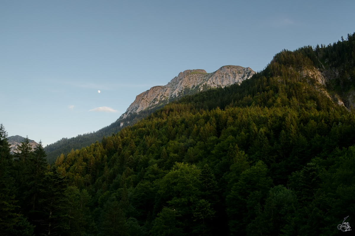 Blick in die Berge. (Hohenschwangau, Juli 2017)