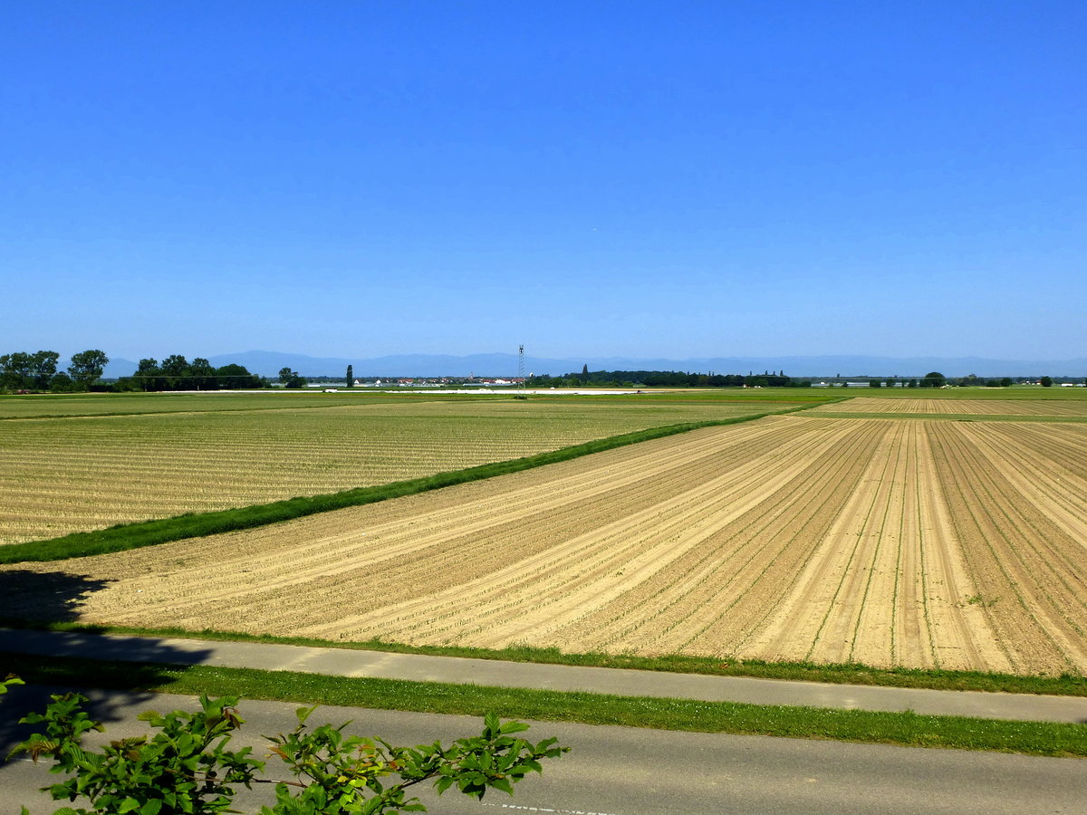 Blick von Biengen OT Dottinghofen nach Westen ber die Rheinebene zu den Vogesen, Mai 2017