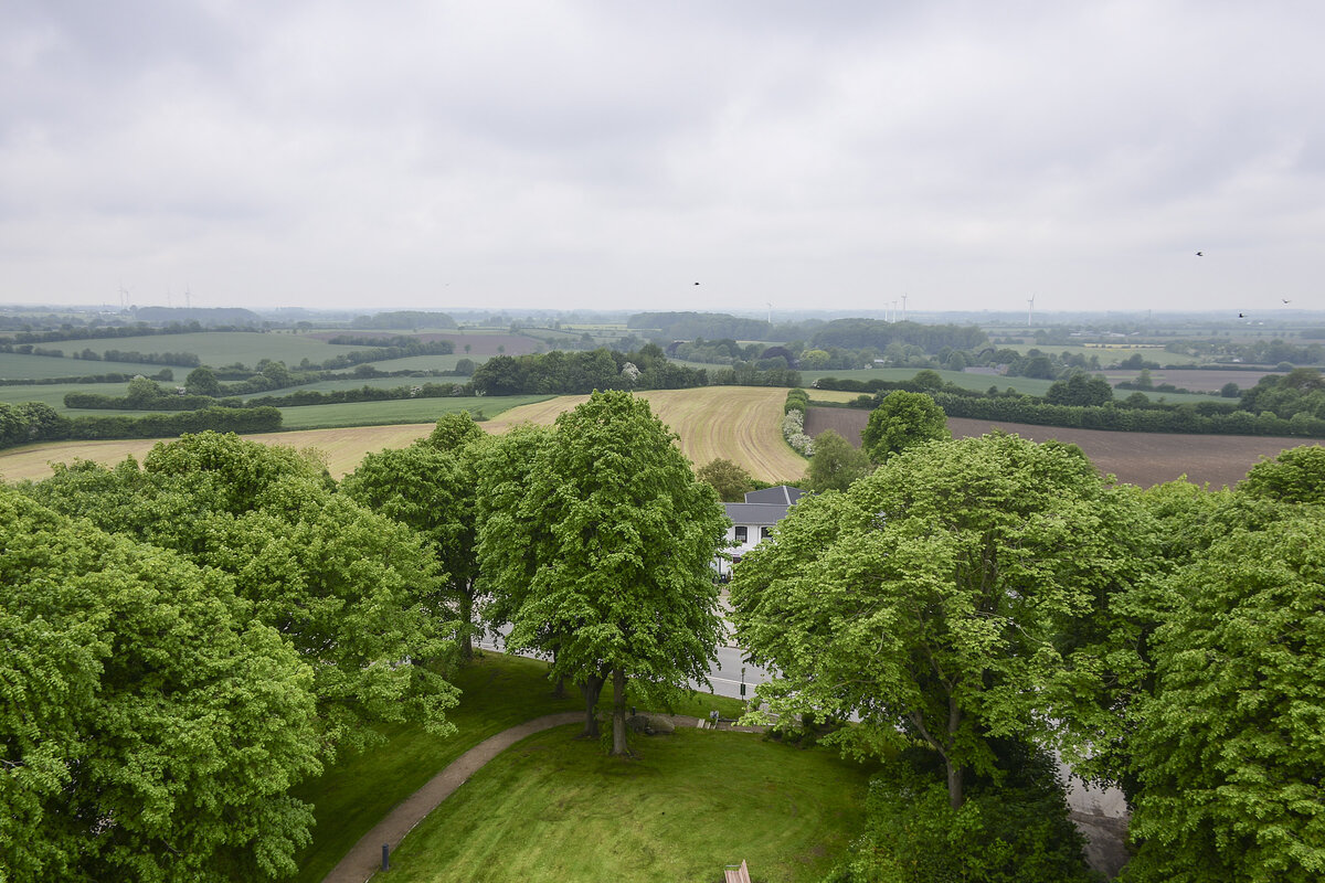 Blick vom Bismarckturm bei Quern in Nordangeln. Aufnahme: 7. Juni 2021.