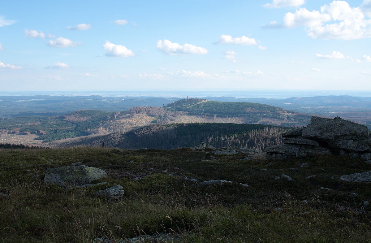 Blick vom Brocken nach Süden bis zum Thüringer Wald am Horizont, aber das Wurmbergmassiv sieht schrecklich aus: Viel rotbraun verfärbter totkranker oder toter Wald und riesige gerodete Flächen infolge der heissen und zu trockenen Sommer der letzten Jahre; Aufnahme vom frühen Abend des 19.08.2020... 