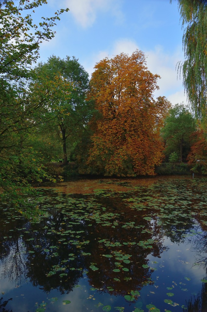 Blick von der Brckenauffahrt ins Schloss Rheydt ber den Wassergraben auf das Gelnde vorm Schlo. Mnchengladbach den 24.10.2013