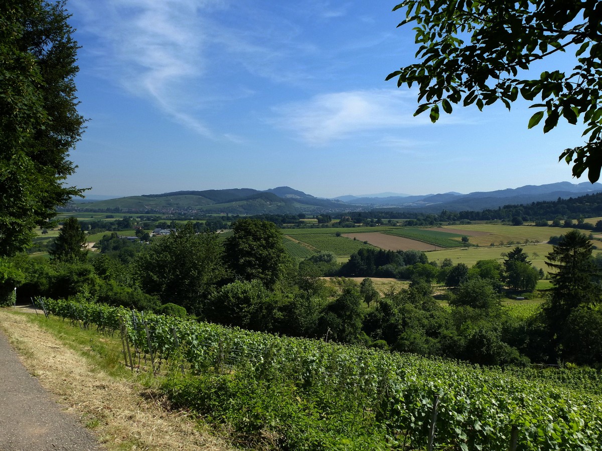 Blick von der Burg Staufen Richtung Nord ins Markgrflerland, Juni 2014