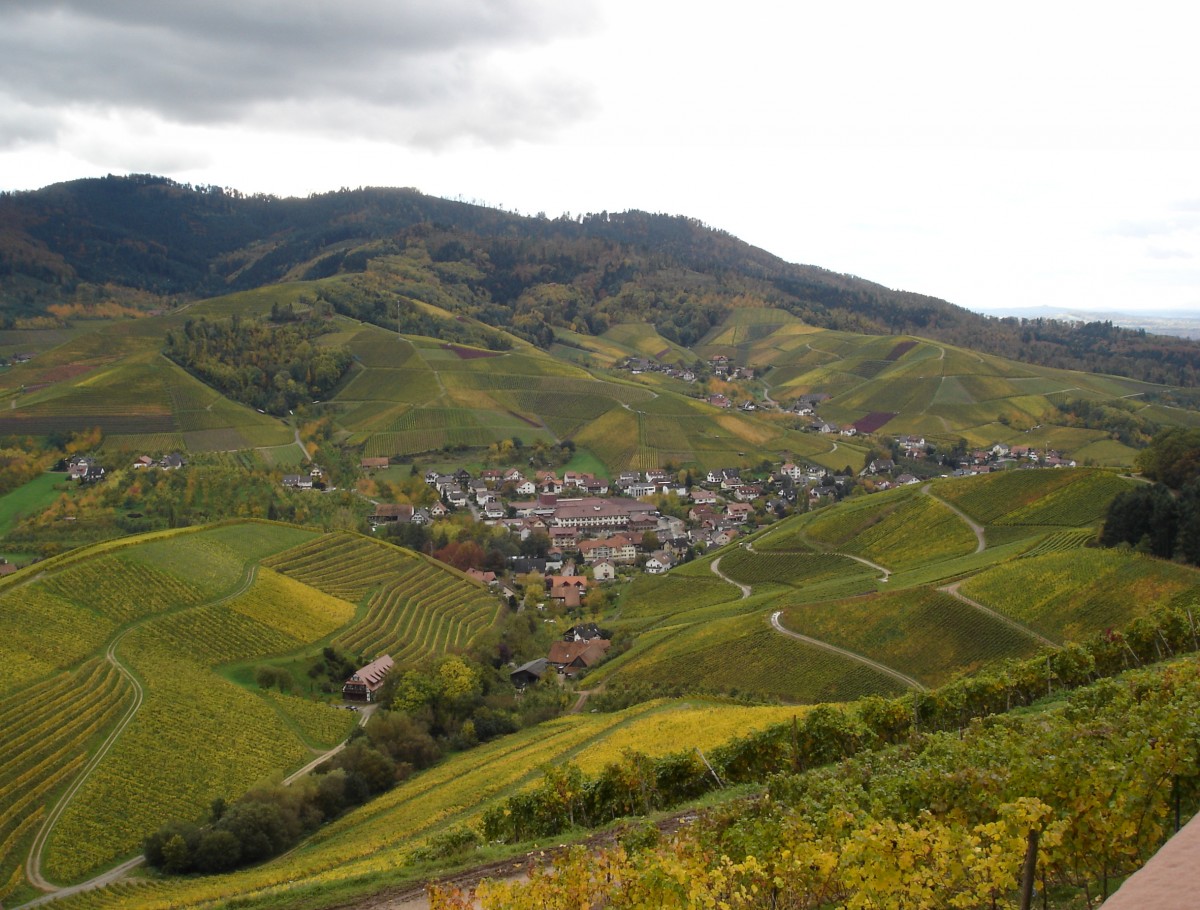 Blick von der Burg Staufenberg auf die Weinberge der Ortenau und den Ort Durbach, Okt.2004