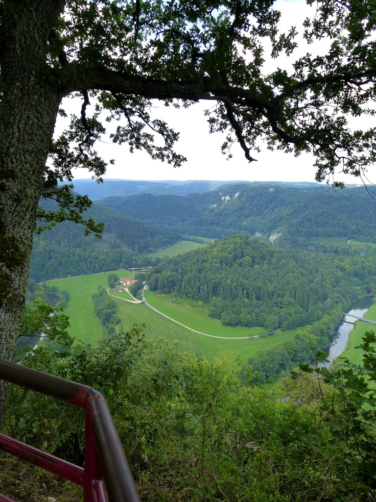 Blick von der Burg Wildenstein ins Donautal, Aug.2013