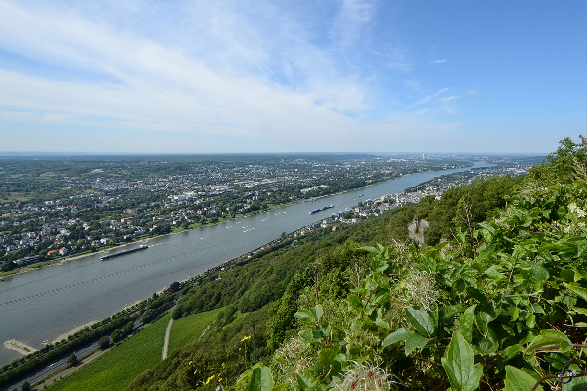 Blick vom Drachenfels auf den Rhein. (Königswinter, August 2012)