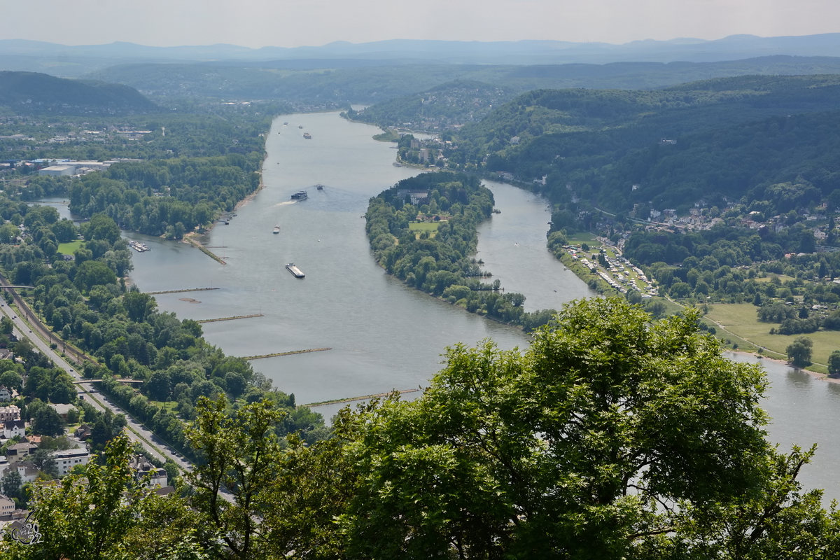 Blick vom Drachenfelsen auf die vom Rhein umschlossene Insel Nonnenwerth. (Königswinter, Mai 2014)