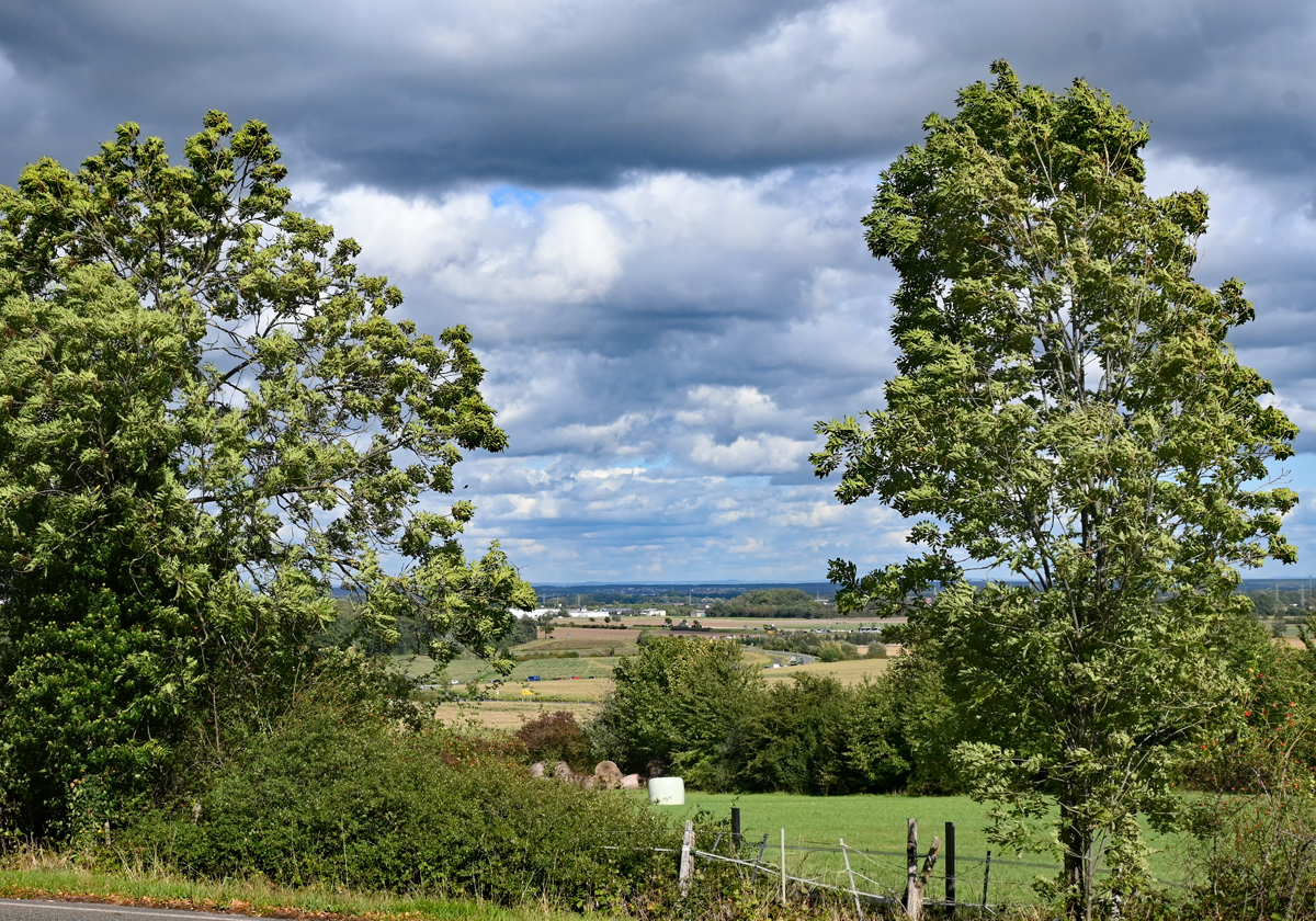 Blick durch die Bäume bei Eu-Billig auf die Kölner Bucht - 22.09.2023