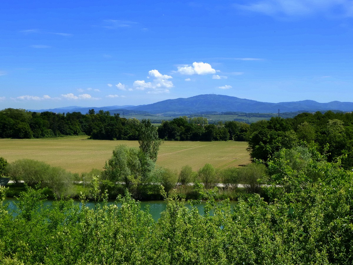 Blick von einem Aussichtspunkt ber den Rhein-Rhone-Kanal im sdlichen Elsa zum 1184m hohen Hochblauen im Schwarzwald, Mai 2014