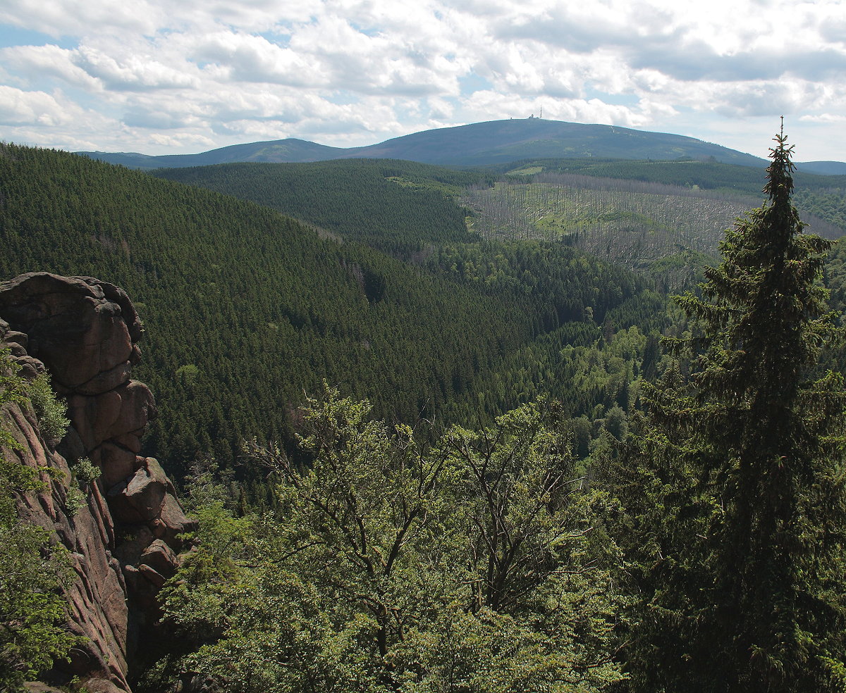 Blick von einem der Felstürme der Rabenklippen über das Eckertal hinauf zum Brockenmassiv; Aufnahme vom frühen Nachmittag des 25.05.2014...