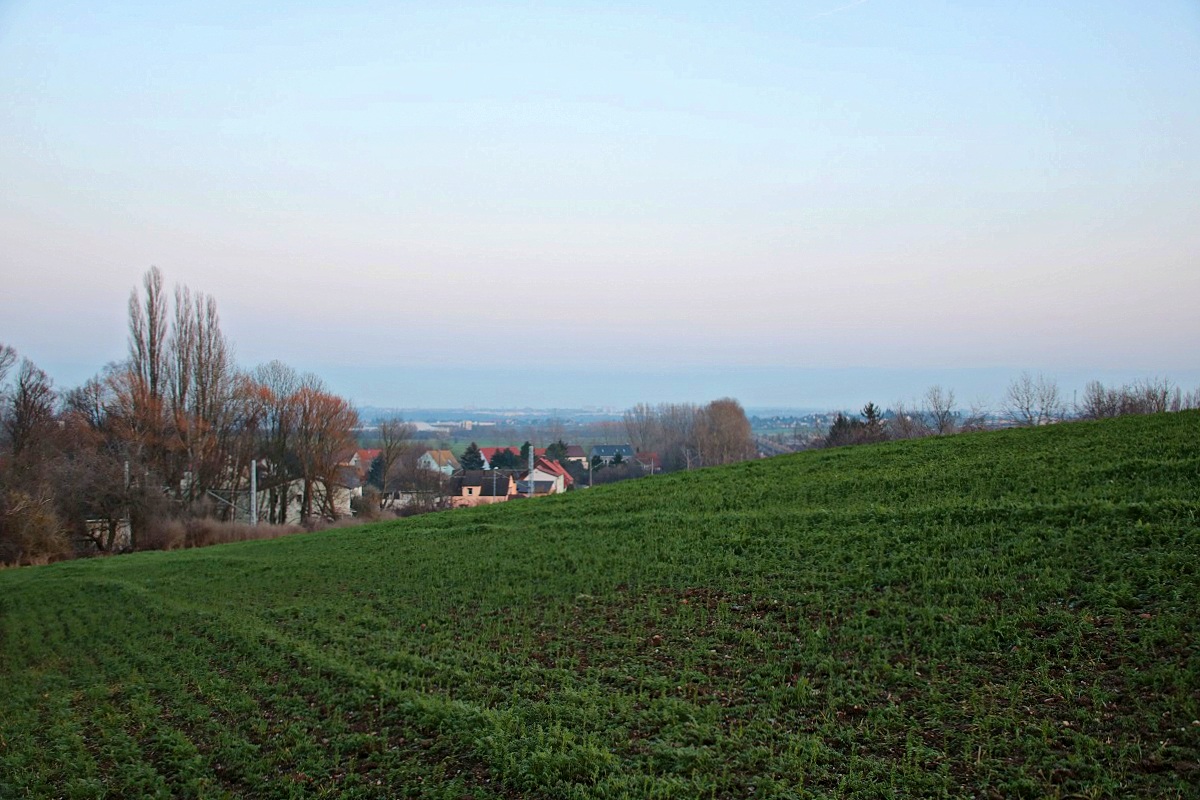 Blick von einem Hügel auf das Dorf Zscherben (Gemeinde Teutschenthal) sowie auf Angersdorf (rechts) und in weiter Ferne Halle-Neustadt, angedeutet u.a. durch Hochhäuser. [14.1.2018 | 16:24 Uhr]
