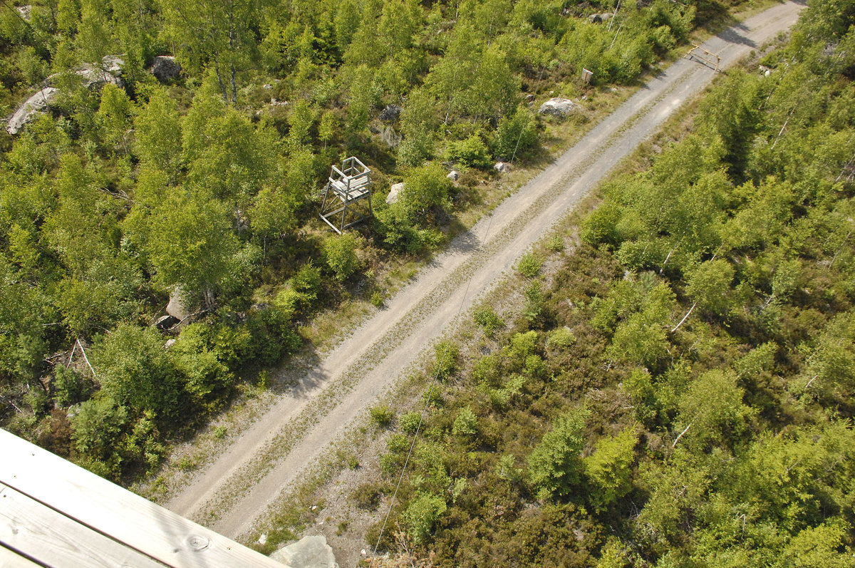 Blick von einem Turm der Schweden Zipline im »Little Rock Lake« nördlich von Klaveström in Småland.
Aufnahme: 20. Juli 2017.