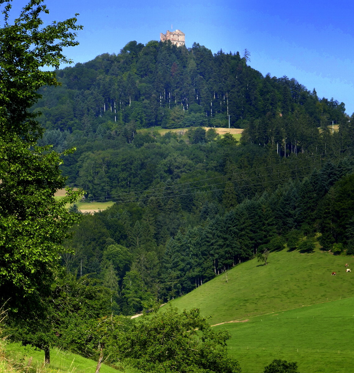 Blick vom Emmersbachtal zur Burgruine Hohengeroldseck, mittlerer Schwarzwald, Juli 2021