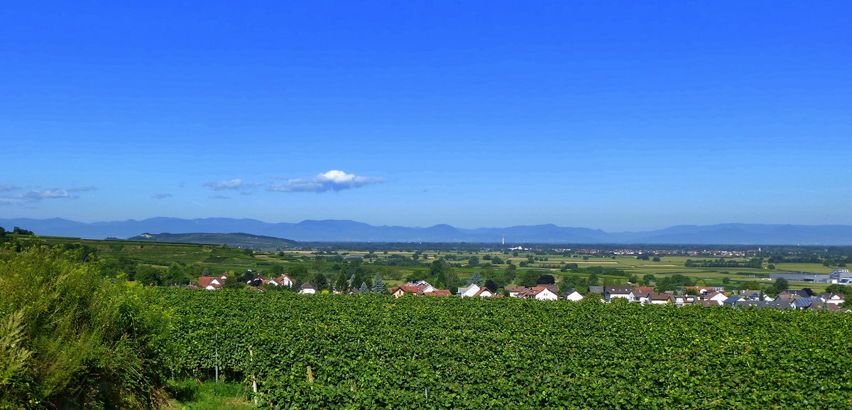 Blick von Endingen am nrdlichen Kaiserstuhl nach Westen ber die Rheinebene zu den Vogesen, Aug.2016