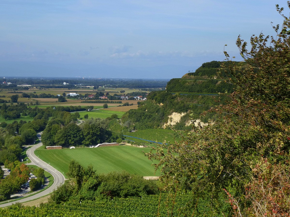 Blick von der Erentrudiskapelle zum terrassenfrmigen Sdhang des Tuniberges, Sept.2013