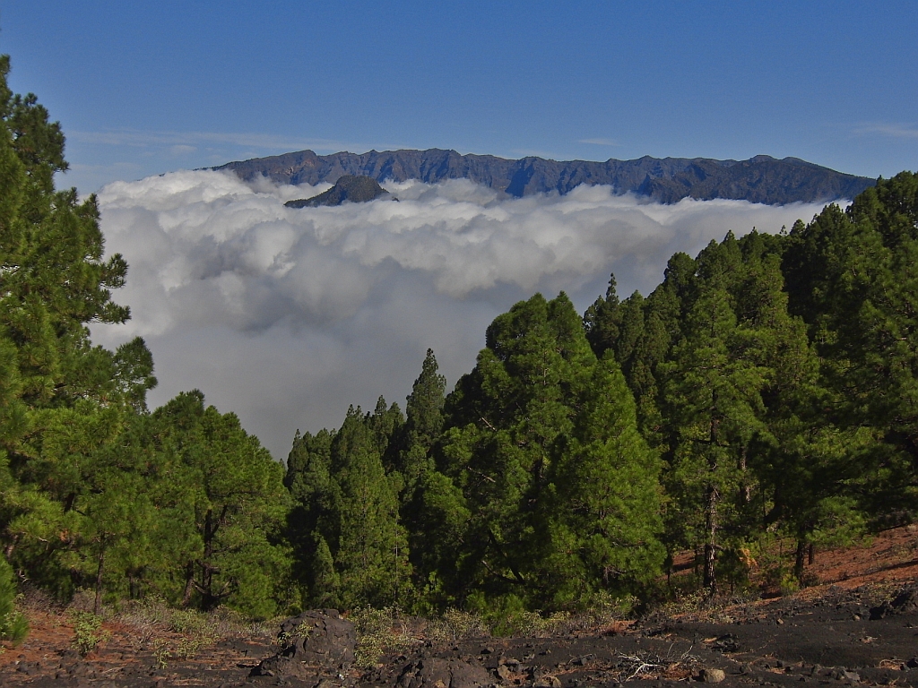 Blick von der Flanke des Pico Birigoyo auf die Bergumrahmung der Caldera de Taburiente. Aus den Wolken ragt der 1857 m hohe Pico Bejenado. La Palma, September 2013.