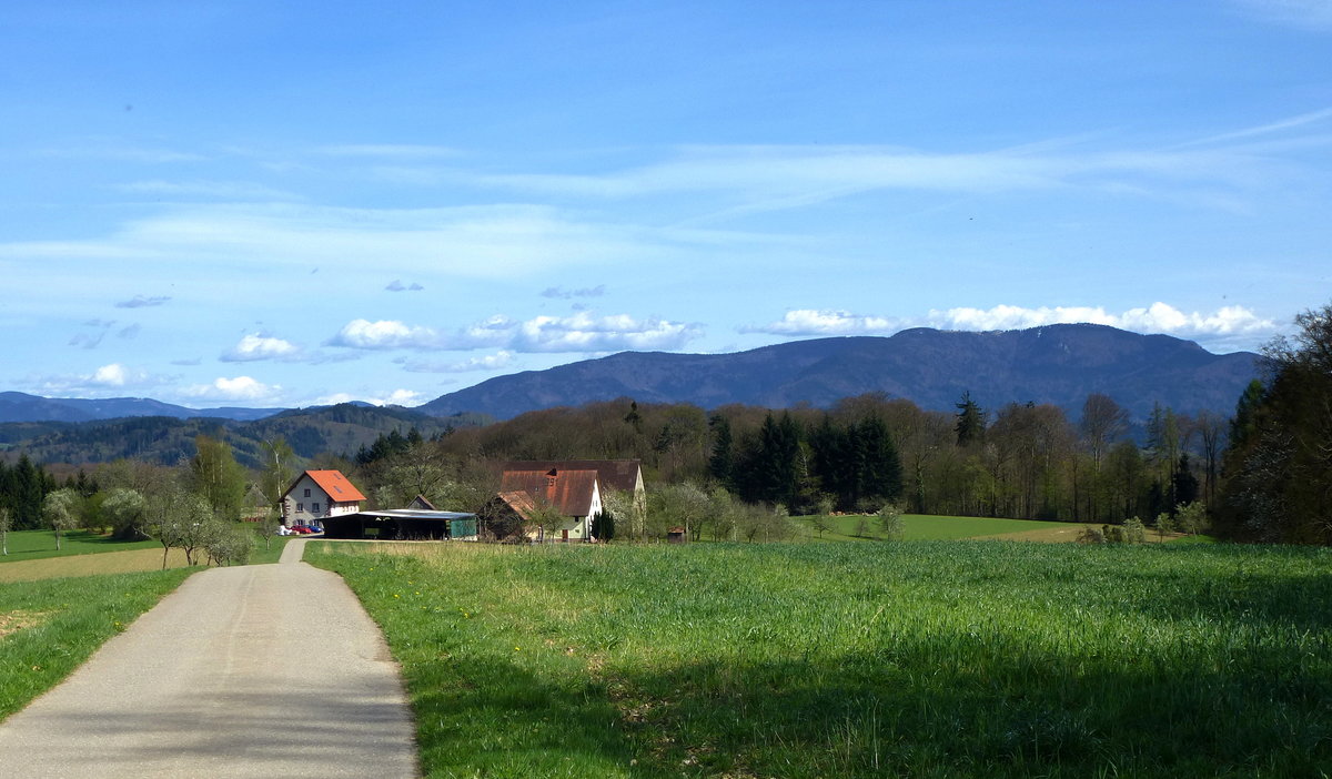 Blick von Freiamt zum Kandelmassiv, April 2014