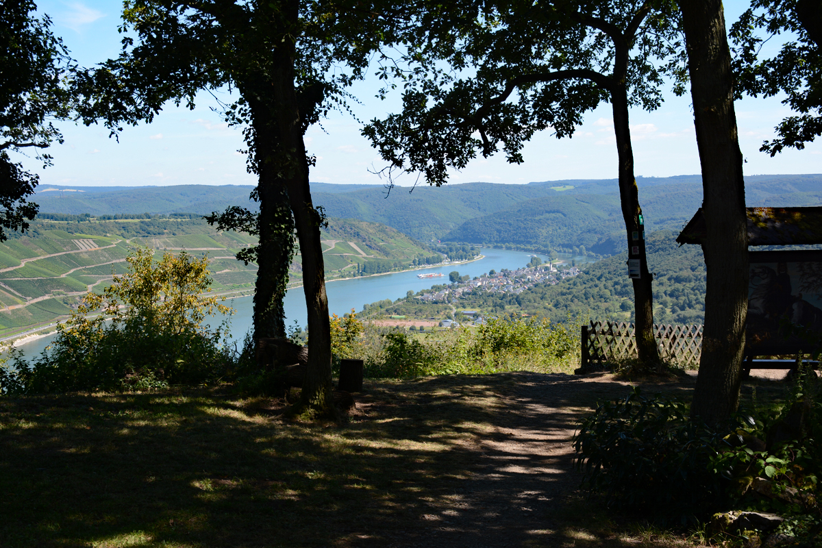 Blick vom Gedeonseck (ca. 270 m) auf den Rhein und Oberspai - 23.08.2016