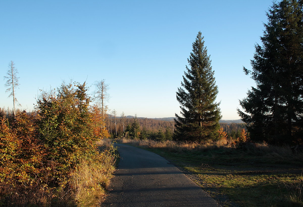 Blick von der Hahnenkleer Waldstraße auf Berge des Südharzes im Hintergrund; Aufnahme vom Abend des 24.10.2021...