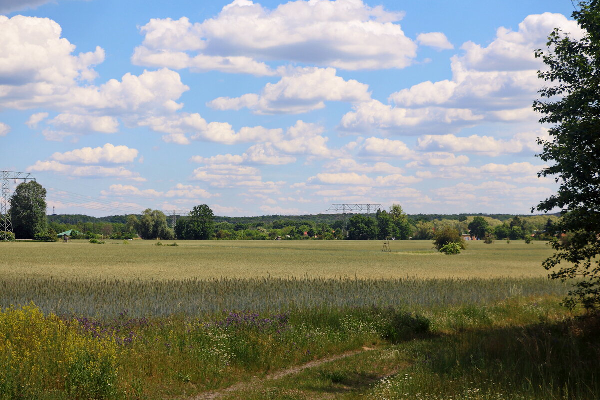 Blick von der Haltestelle in Rüdersdorf, Märkisch Oderland, bei Berlin, Berghof Weiche, in Richtung Fredersdorf-Vogelsdorf am 09. Juni 2021.