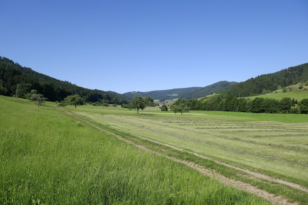 Blick von Haslach kommend ins Hofstetter Tal im mittleren Schwarzwald, Juni 2020