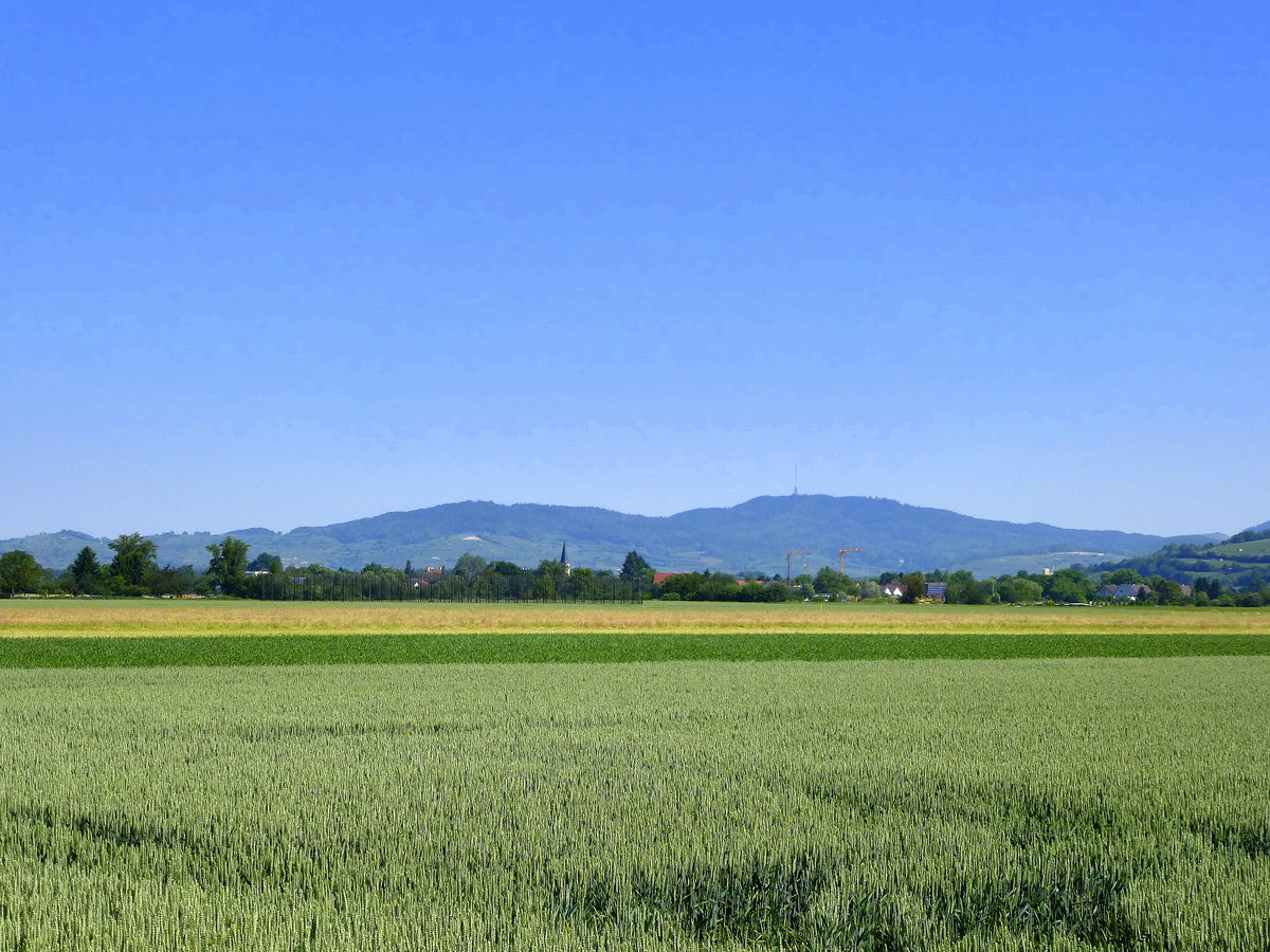 Blick von Hausen an der Mhlin ber die Rheinebene zum sdlichen Kaiserstuhl, Mai 2017