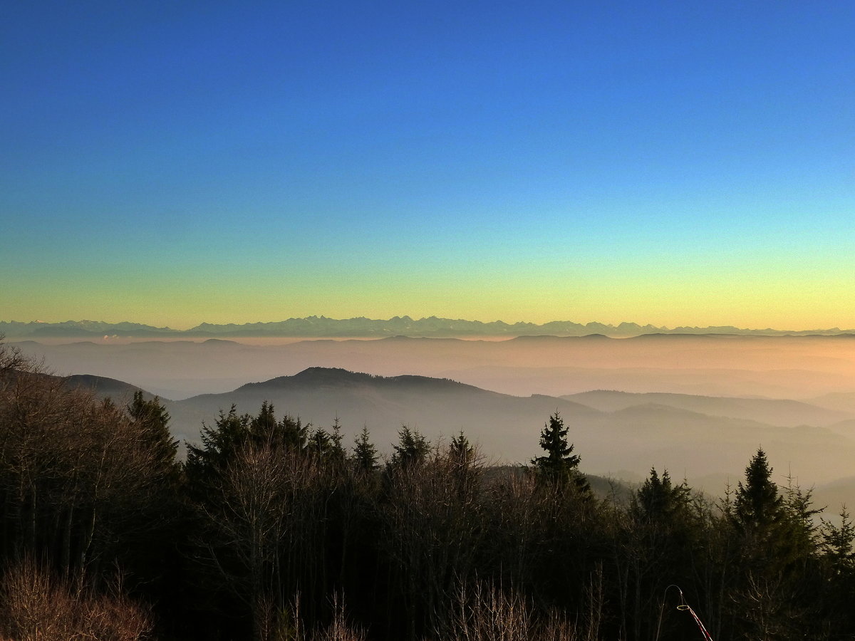 Blick vom Hochblauen (1165m) nach Sden ber die Nebelfelder und die Schweizer Jura zu den Alpen, Dez.2016