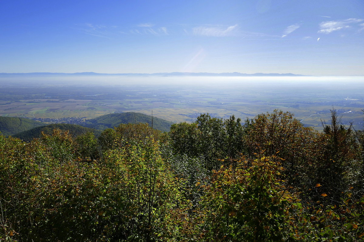 Blick von der Hohkönigsburg in die Rheinebene mit dem Schwarzwald am Horizont, Okt.2019