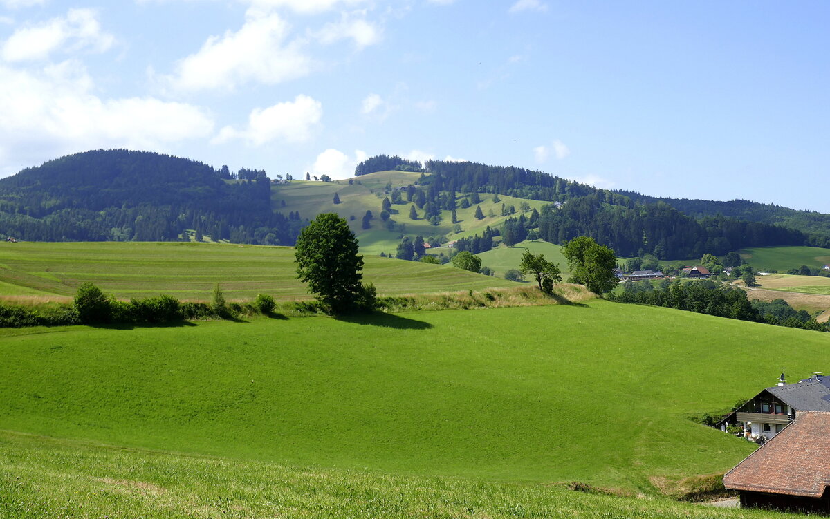 Blick von Horben am Schauinsland/Schwarzwald zum 886m hohen Hörnle links und zum 733m hohen Kohlerkopf rechts, Juni 2022