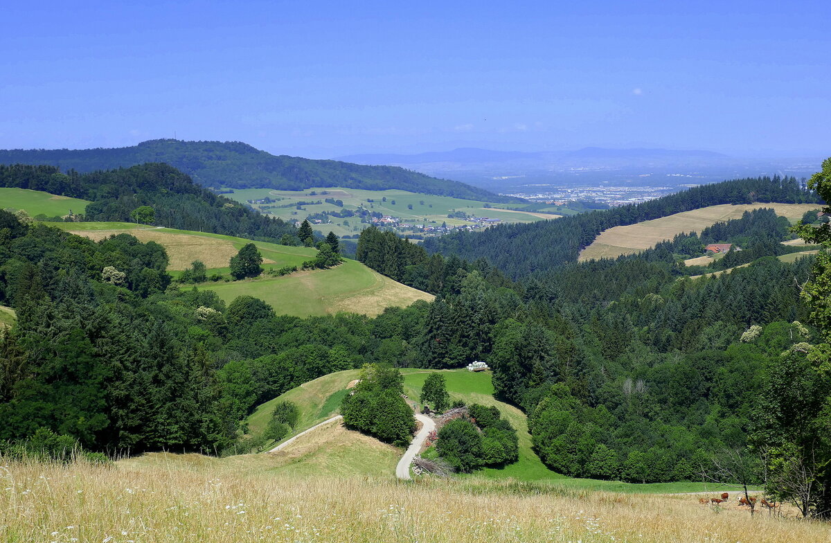 Blick von Horben westwärts, links der Schönberg 644m, am Horizont der Kaiserstuhl, davor ein Teil von Freiburg, Juni 2022