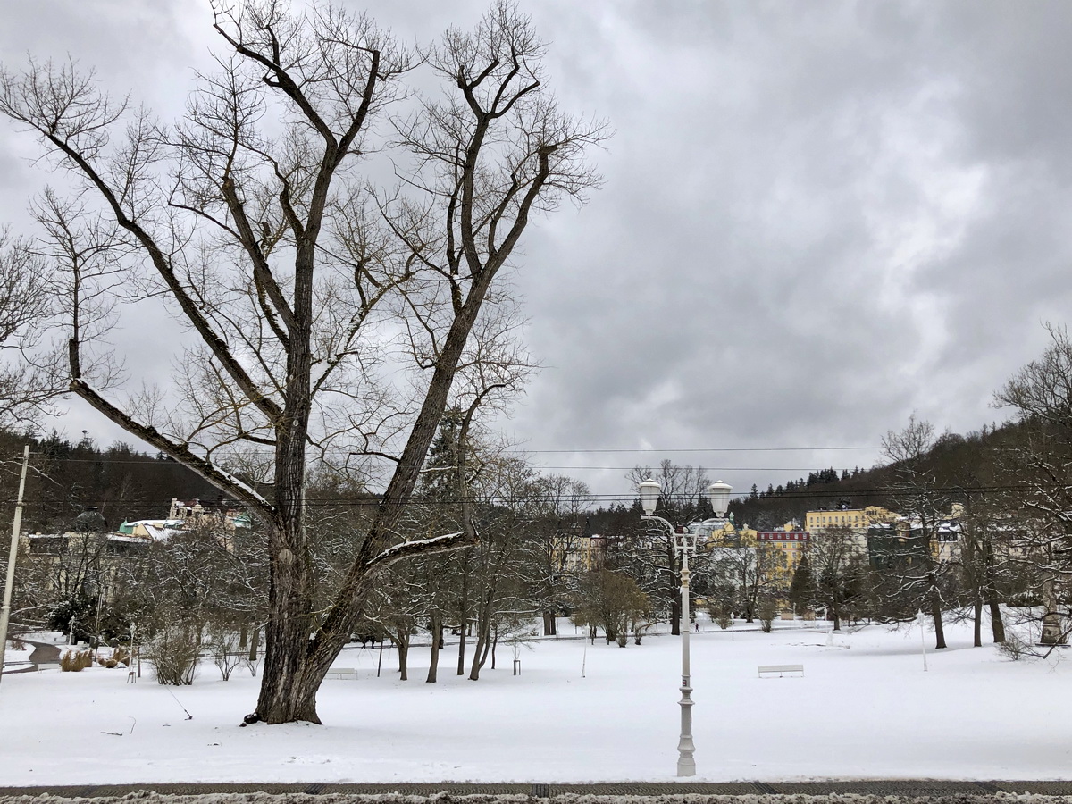 Blick von der Hotelanlage in den Kurpark am 28. Februar 2020.