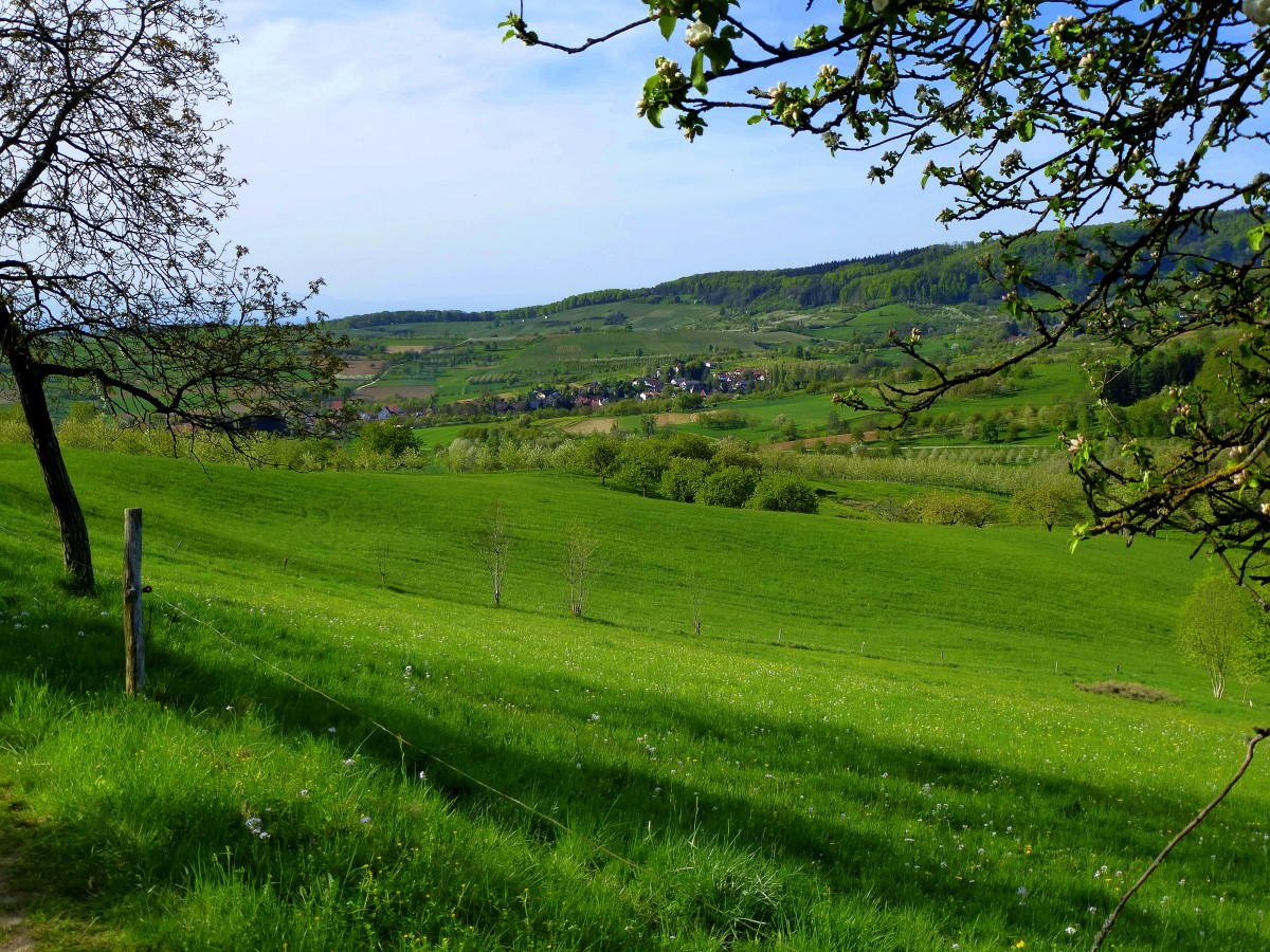 Blick ins Eggenertal im Markgrflerland, mit der Ortschaft Obereggenen, April 2015