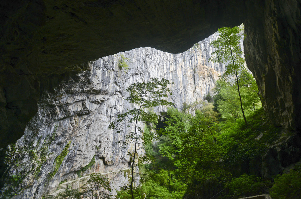 Blick ins Freie aus einer der Höhlen von Škocjan in Slowenien. Aufnahme: 28. Juli 2016.