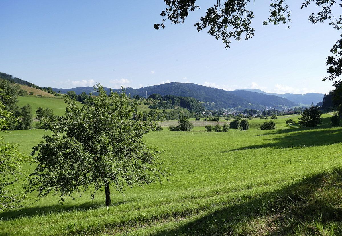Blick ins Hofstetter Tal Richtung Haslach/Kinzigtal, Juni 2020
