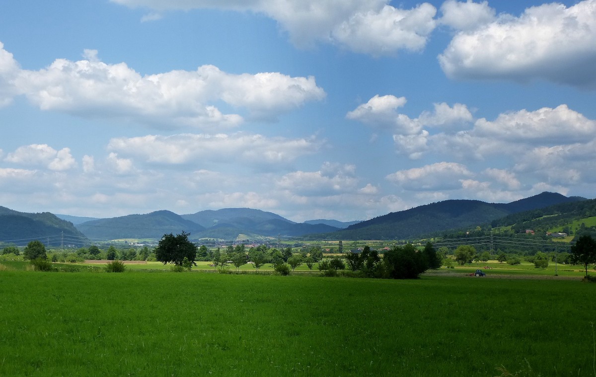 Blick ins Kinzigtal bei Steinach im mittleren Schwarzwald, Juli 2013J 