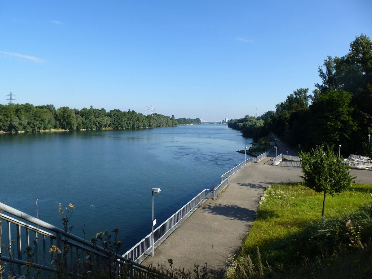 Blick vom Kulturwehr in Kehl rheinabwrts, Aug.2016