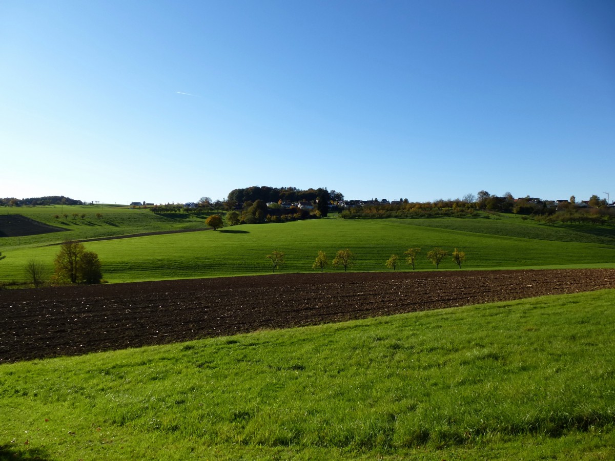 Blick vom Kurhaus in Freiamt zum Ortsteil Mubach, Okt.2013