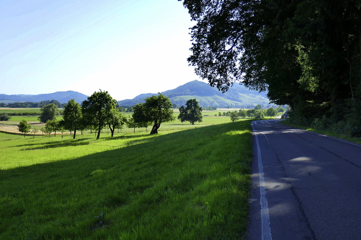 Blick von der Landstraße bei Gundelfingen zum Glottertal/Schwarzwald, Juni 2019