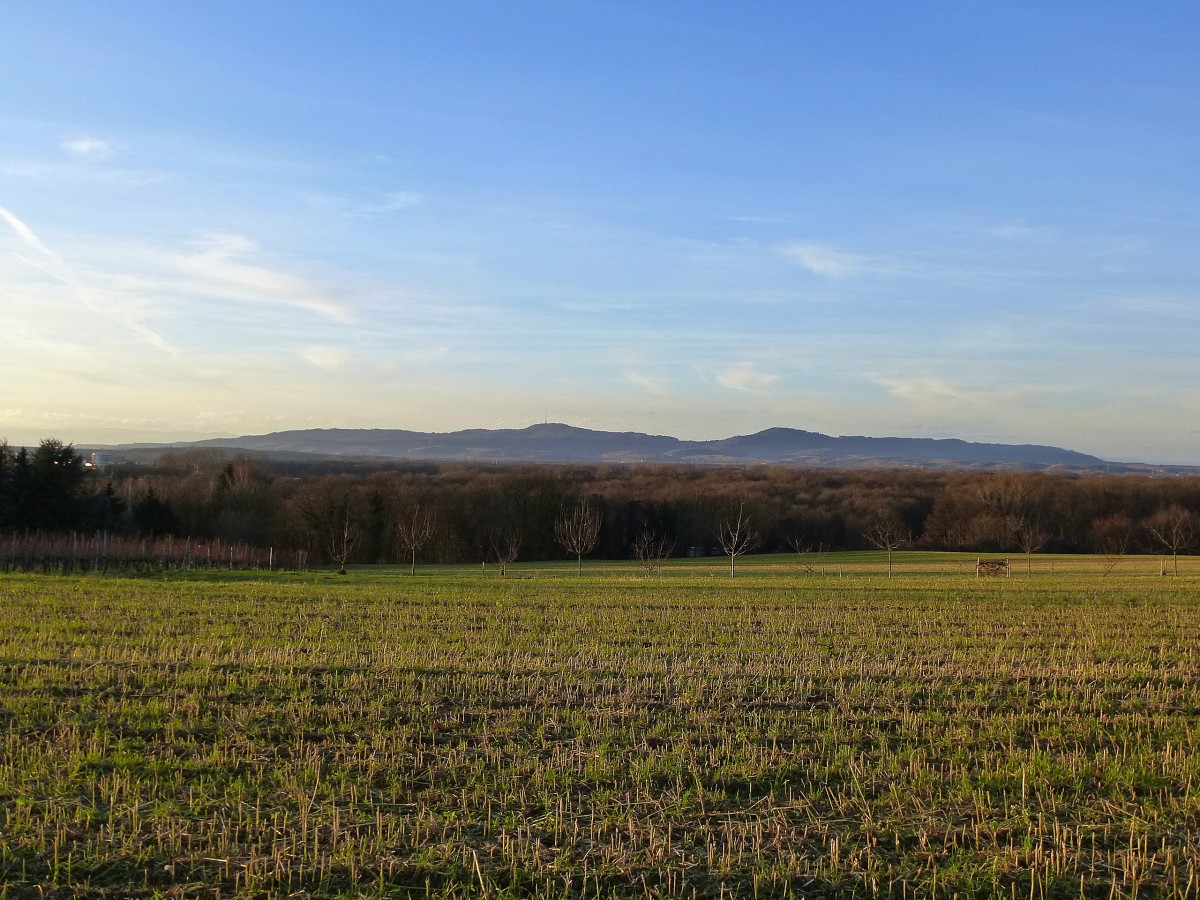 Blick vom Lehener Berg bei Freiburg zum Kaiserstuhl, Dez.2013