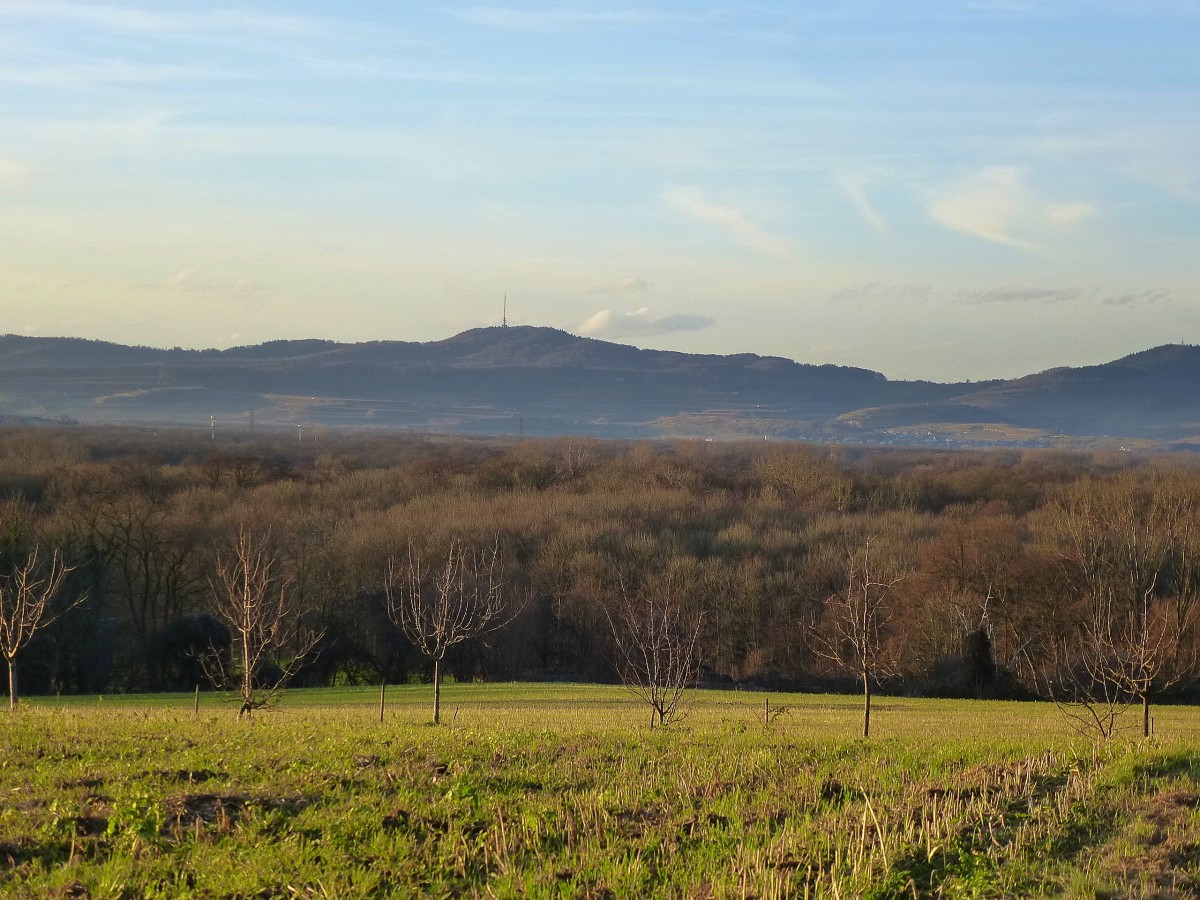 Blick vom Lehener Berg im Westen von Freiburg zum Kaiserstuhl, Dez.2013