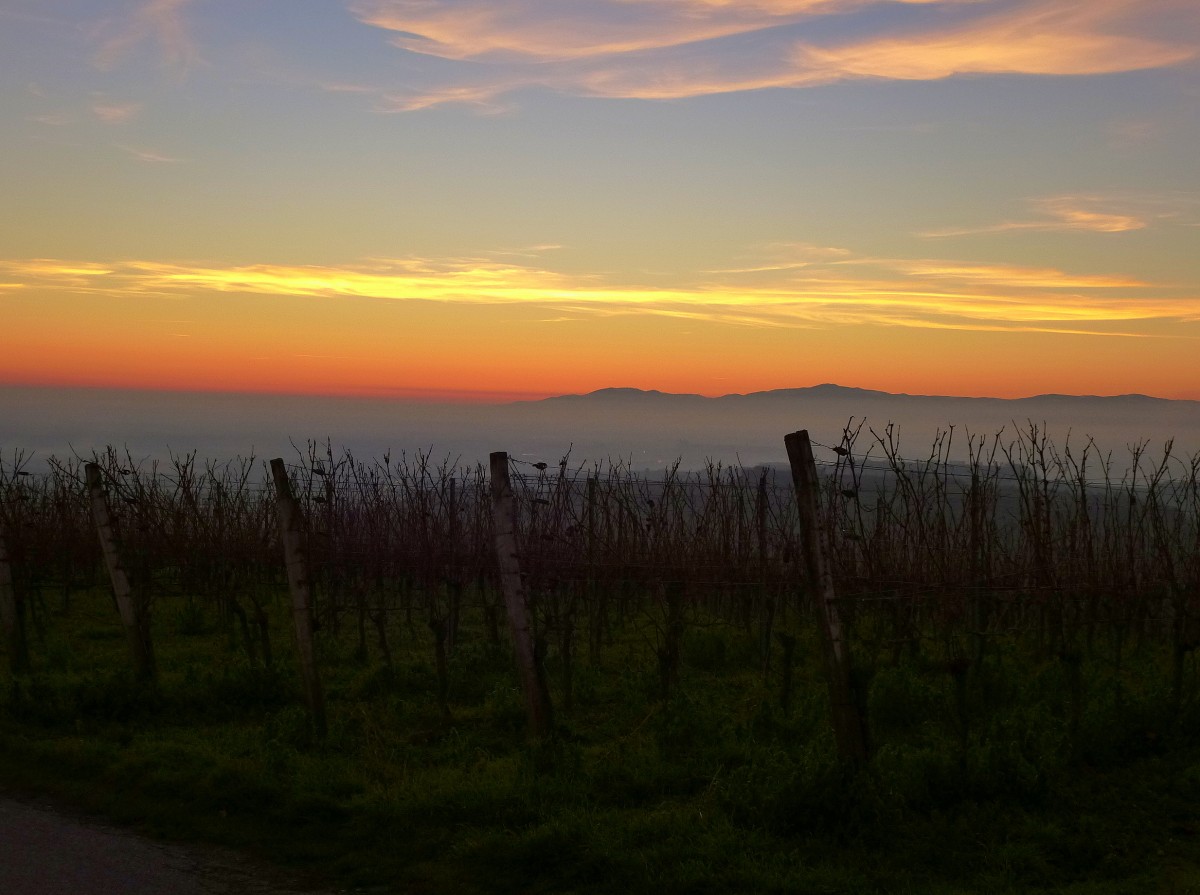 Blick vom Lenzenberg/Kaiserstuhl ber die neblige Rheinebene zu den Vogesen beim Sonnenuntergang, Dez.2013