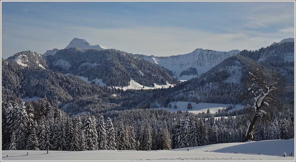 Blick vom Les Pleiades auf die tiefverschneite Umgebung des Moleson (2002 m.ü.M.).
(03.02.2015)