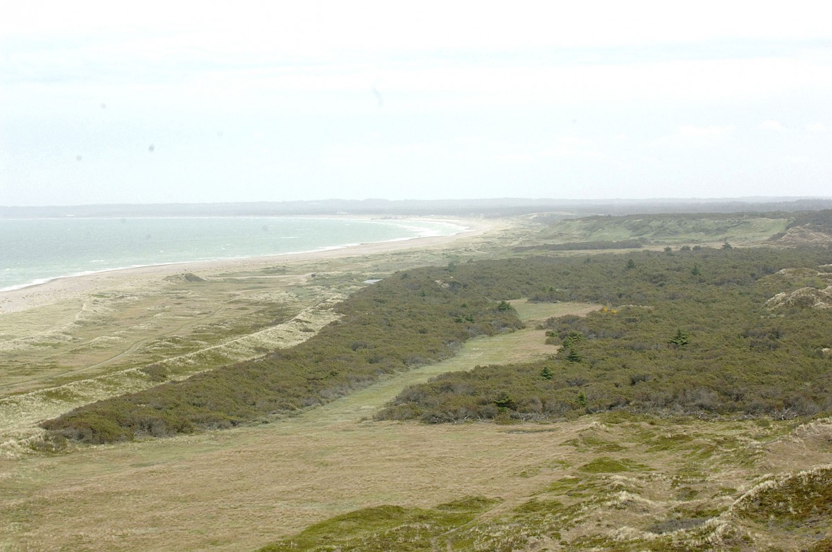 Blick vom Leuchtturm am Rubjerg Knude. Aufnahme: Juli 2012.